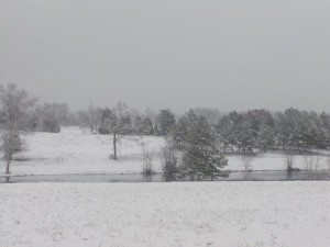 Snow at Middle Pond